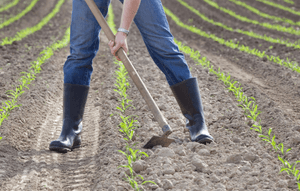 AJUDEM MEU AMIGO PORFAVOR - AJUDA PARA MEU AMIGO COMPRAR UMA ENXADA
