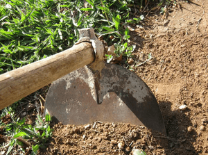 Financiamento Coletivo - AJUDA PARA MEU AMIGO COMPRAR UMA ENXADA