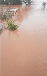 Ajudemos Silvia e sua família após a devastadora enchente no Rio Grande do Sul
