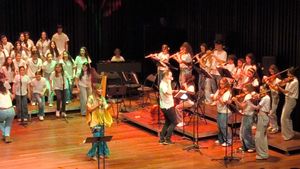 Crowdfunding - Violino para a Gabi Gomes - Rumo a Faculdade de Musica!