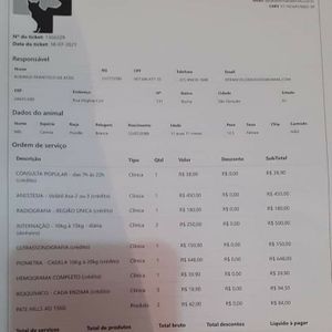 Vaquinha Online - Mel precisa de ajuda urgente!