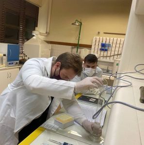 Ajude o nosso projeto social e na publicação das pesquisas científicas imagem 8