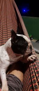 Saúde e Emergências - LUNA 