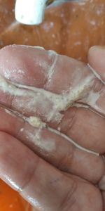 Vaquinha Online - Ajude uma ALMA