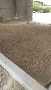 Ajude a Salvar nosso Ganha Pão  - Ajude uma ALMA