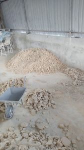 Ajude uma ALMA imagem 7