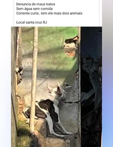 Kiara - Todos pela Kiara 