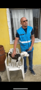 Animais - Todos pela Kiara 