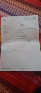 Animais - Vaquinha para a cirurgia de urgência da Cacau. 