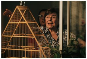 Vaquinha Online - Filme Francisca (captação)