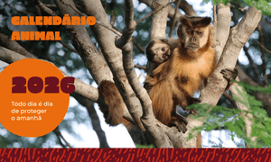 Calendário Animal 2026: Todo dia é dia de proteger o amanhã