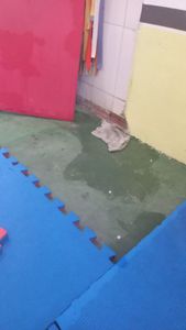 Obra Emergencial no espaço Renasce Rocinha Judô  imagem 6