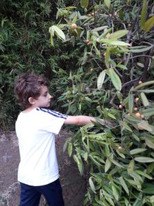 São Paulo/SP - Do Gosto e Do Cheiro - Histórias e Gastronomia 