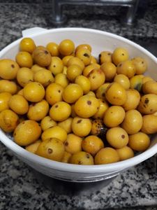 Do Gosto e Do Cheiro - Histórias e Gastronomia  imagem 6