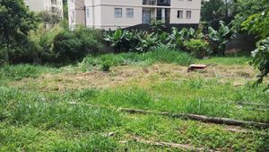 Horta Casa Amarela - Reestruturação e reinauguração da HORTA CASA AMARELA