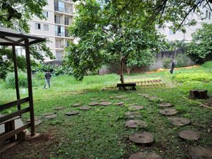 Meio ambiente - Reestruturação e reinauguração da HORTA CASA AMARELA