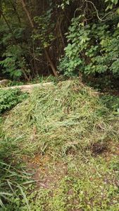 Reestruturação e reinauguração da HORTA CASA AMARELA imagem 7