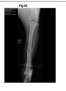 Vaquinha Online - Vaquinha para o Thor 