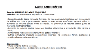 Animais - Vaquinha para o Thor 