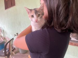 Ajude a Pets dos Weber a pagar a clínica veterinária imagem 6