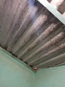 Ajude-me a Reformar Minha Casa imagem 7