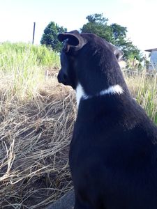 Prethack  - Prethack é seus filhos 