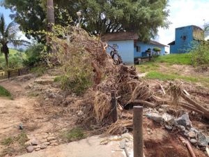 Arrecadação para a Comunidade Terapêutica Luz Divina imagem 6