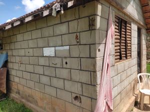 Comunidade Terapêutica Luz Divina - Arrecadação para a Comunidade Terapêutica Luz Divina