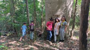 Campori USEB 2023 imagem 9