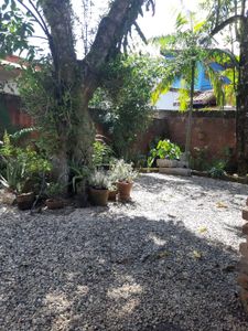  Turmalina Café - Turmalina Café uma experiência transformadora