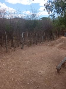 Vaquinha Online - Vaquinha para construir casa, e sair da casa dos parent