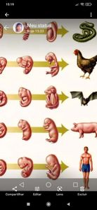 JUNTO COM VOCÊ SALVANDO VIDAS imagem 9