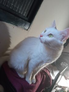 Araçatuba/SP - JUNTO COM VOCÊ SALVANDO VIDAS