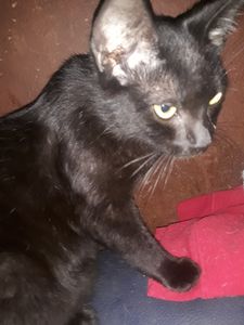 Sorocaba/SP - Cortaram minha água 