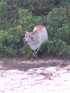 Vaquinha Online - Eco Moto Ateliê