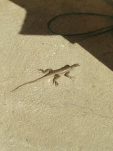 Arte - Eco Moto Ateliê