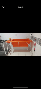 Irmão Animal - Transformando vidas