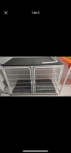 Vaquinha Online - Transformando vidas