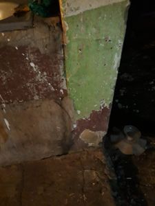 Goiânia/GO - Precisamos da ajuda de todos!