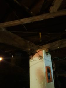 Precisamos da ajuda de todos! imagem 8