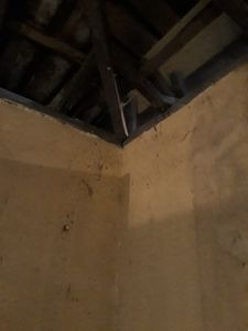 Precisamos da ajuda de todos! imagem 6