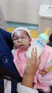 Arrecadação de Fundo para as Cirurgias da Laura Gomes - Fenda Palatina, Correção, estética, etc. imagem 6