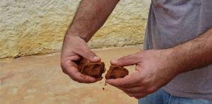 AJUDE-NOS NA BATALHA CONTRA OS EFEITOS DA PANDEMIA! imagem 7