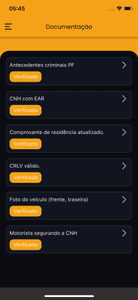 Ajude a construir a FlashX: a plataforma brasileira de mobilidade, delivery e marketplace imagem 11