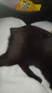 Vaquinha Online - Chega de incontinência urinária e fecal 