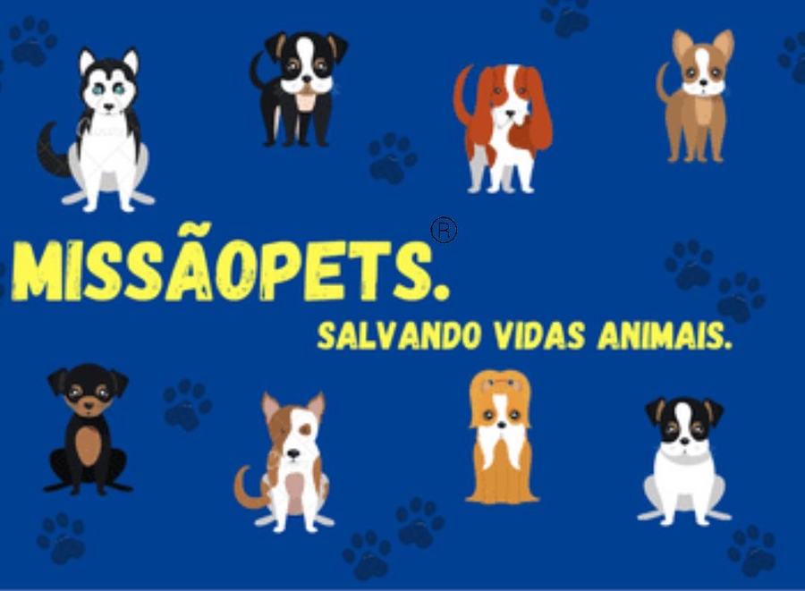 Missão Pets-Resgatando Vidas Animais