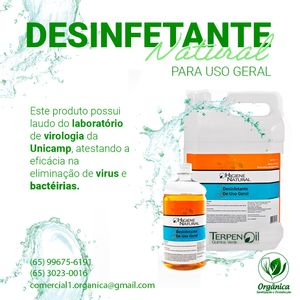 Contribuir para com um planeta sem poluição imagem 9