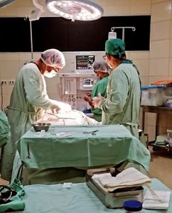 Preciso do seu apoio solidário para me tornar Médico