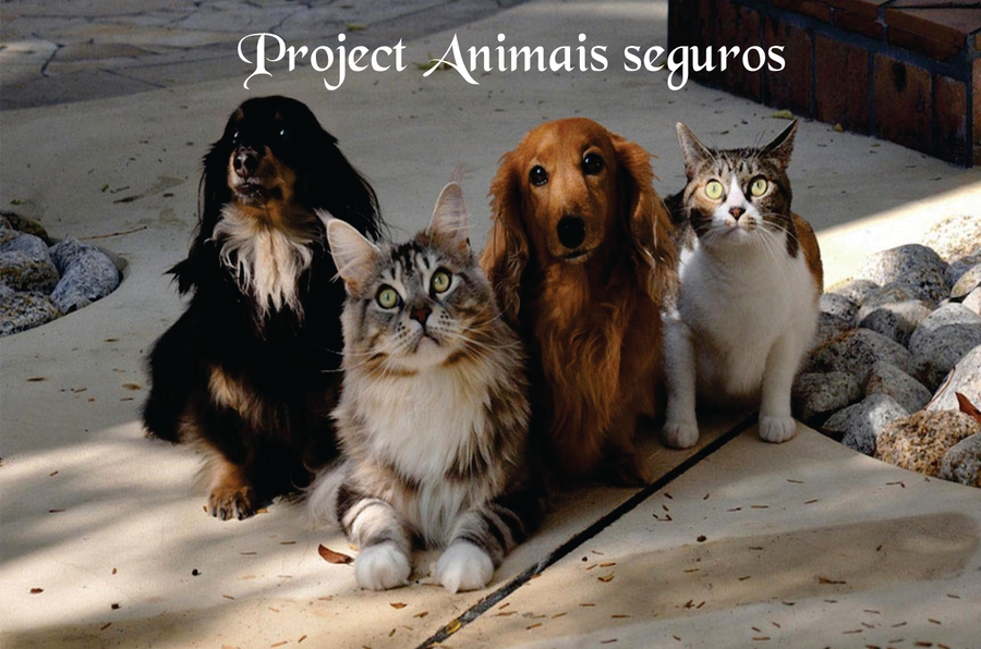 Project Animais seguros
