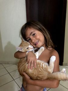 null - Ajude no tratamento da Castanha, nossa gatinha!!!